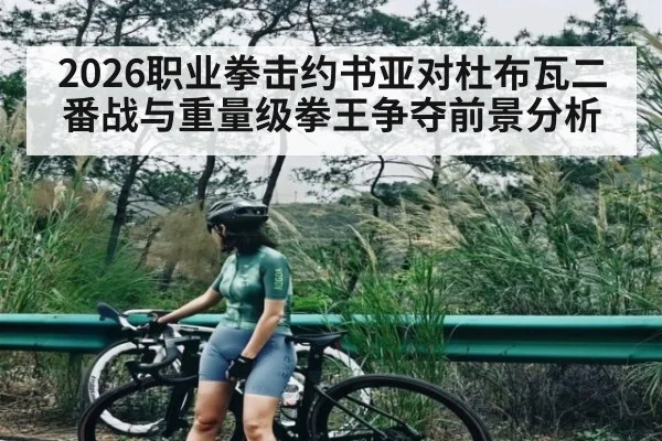 2026职业拳击约书亚对杜布瓦二番战与重量级拳王争夺前景分析
